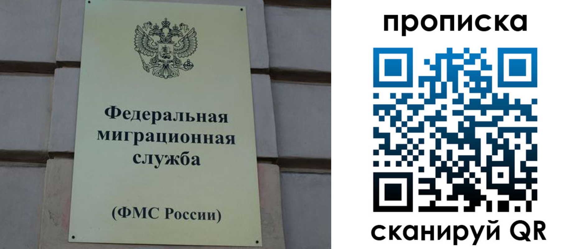 прописка поиск в Козьмодемьянске